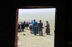 Mongolie 20160723 054531071