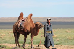 Mongolie 20160727 025933309